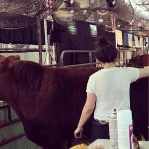 Meet your Posher, Reata